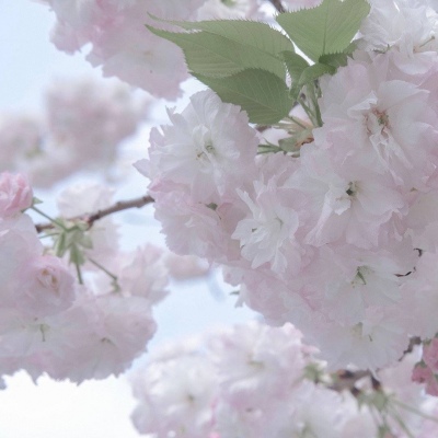 晋宁FurryQQ群介绍